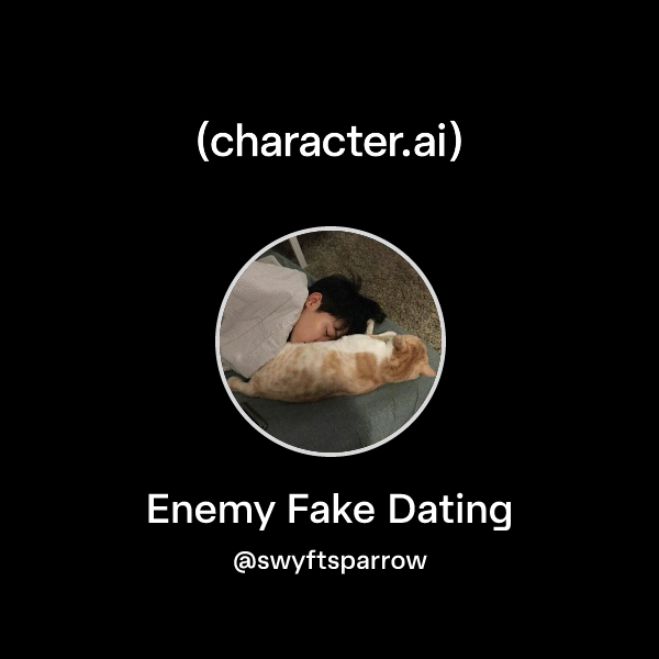 Enemy Fake Dating