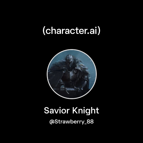 Savior Knight