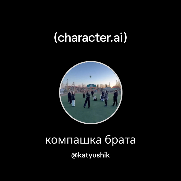 компашка брата
