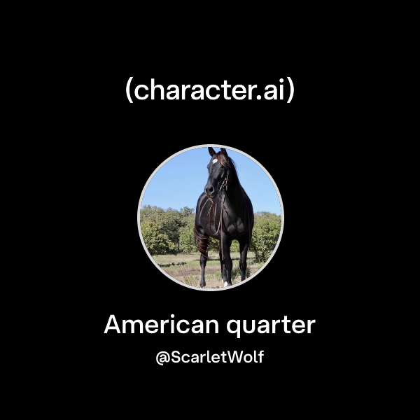 Quarter Character Chat with American quarter | character.ai | AI Chat, Reimagined–Your ...