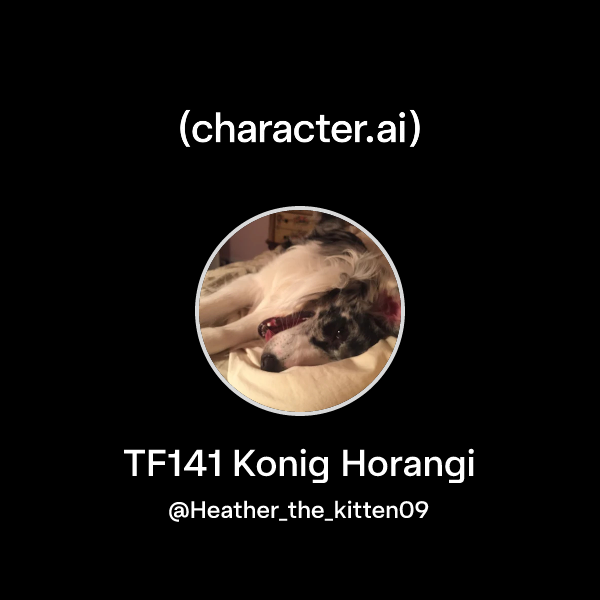 TF141 Konig Horangi