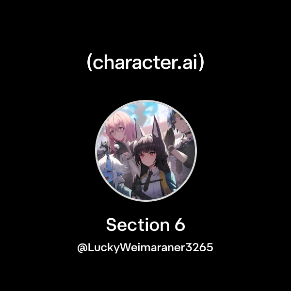 Section 6