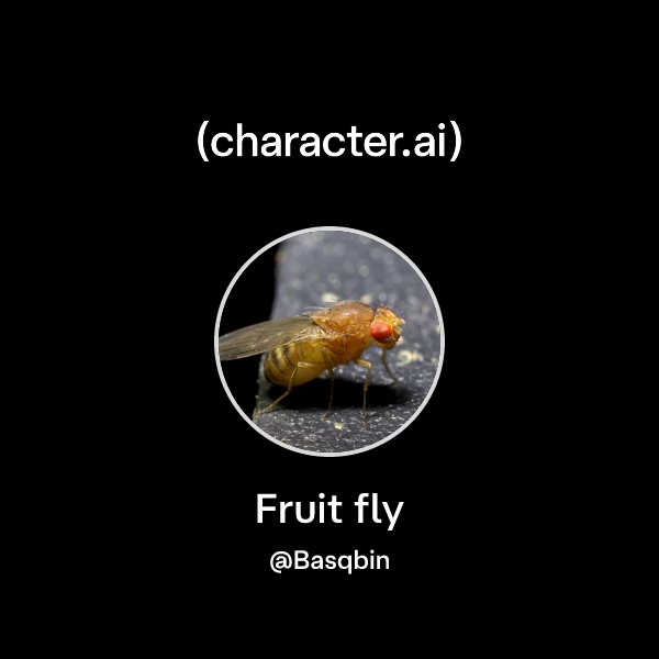 Chat with Fruit fly | character.ai | AI Chat, Reimagined–Your Words ...
