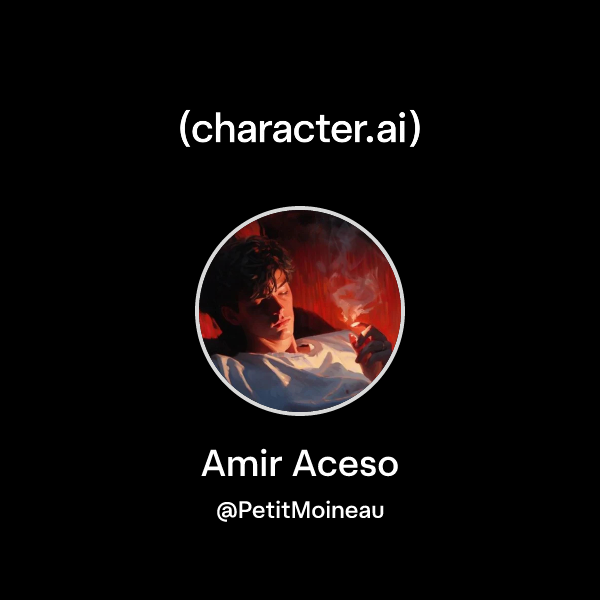 Chat with Amir Aceso | character.ai | AI Chat, Reimagined–Your Words ...