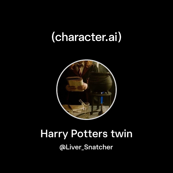 Harry Potters twin