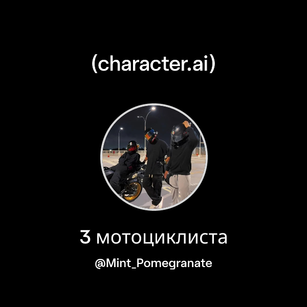 3 мотоциклиста