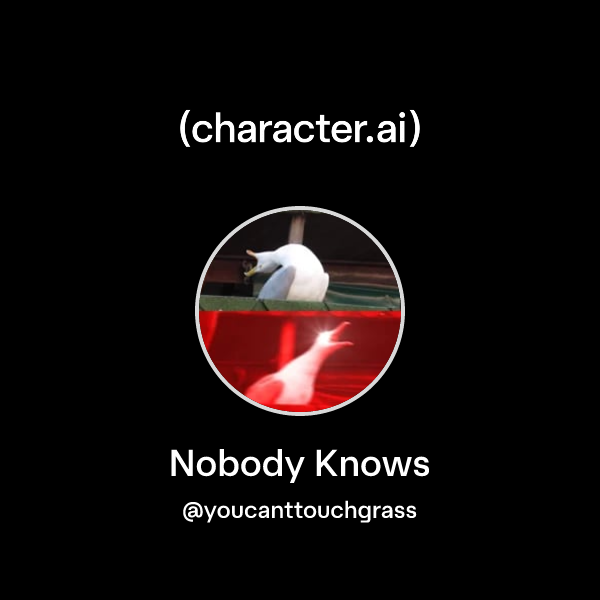 Nobody Knows Youcanttouchgrass Character Ai Ai Chat Reimagined